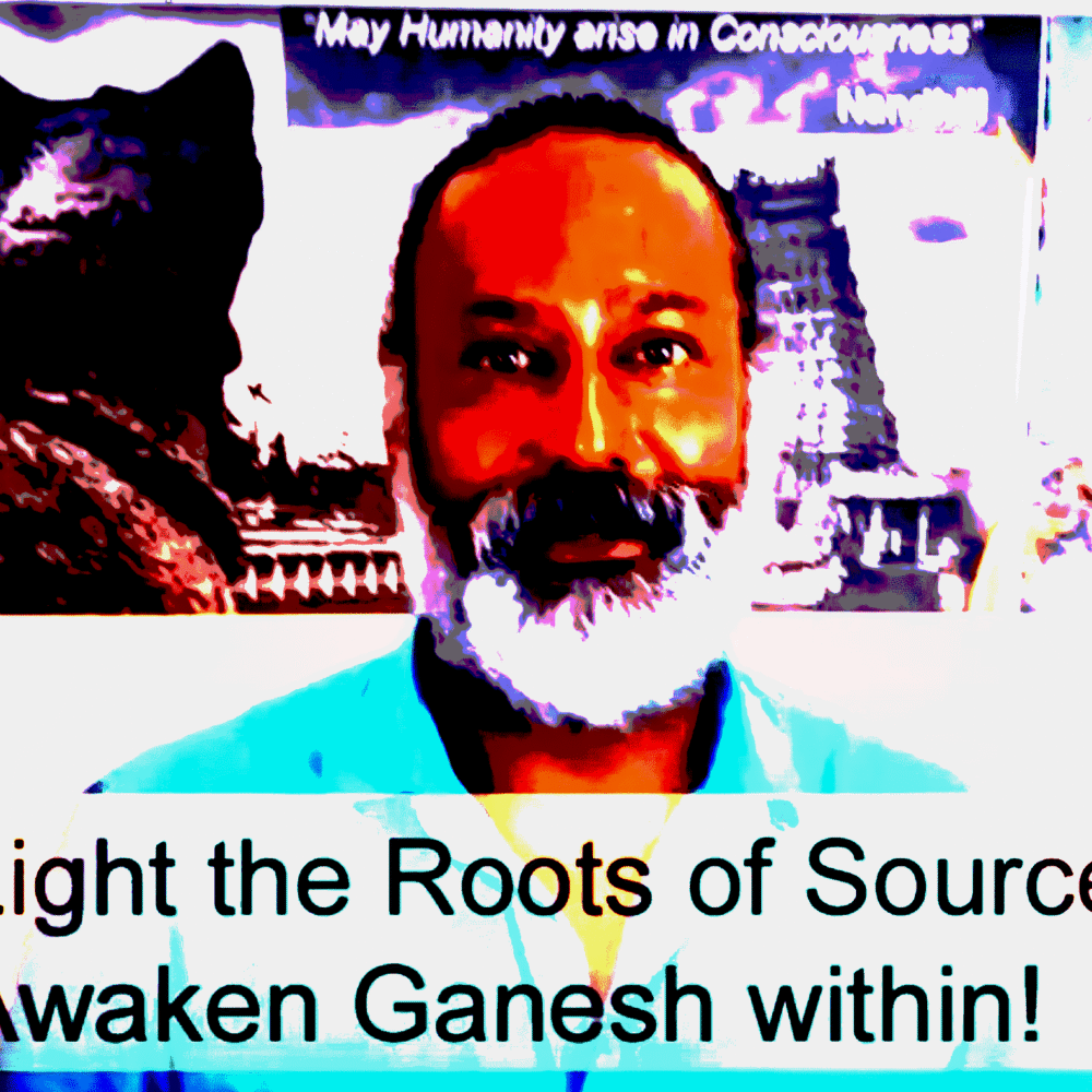 Shop Primary Image Shop Primary Image