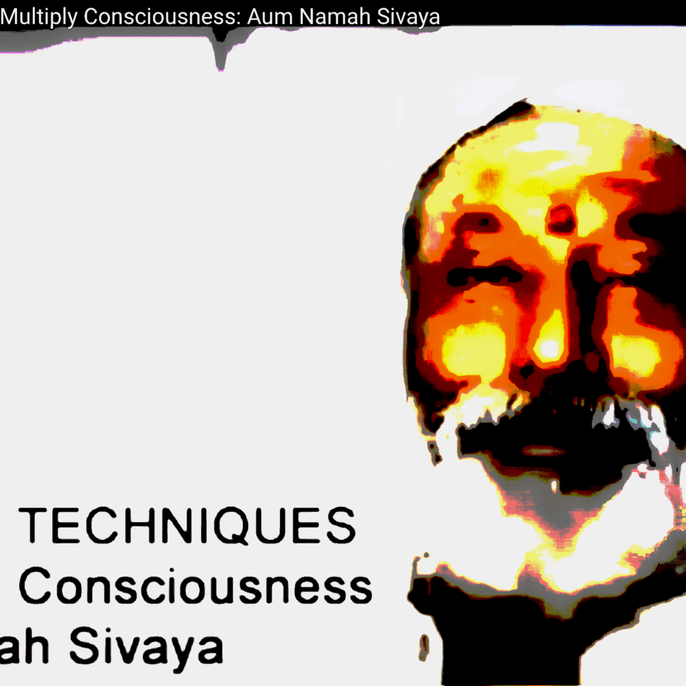 Shop Primary Image Shop Primary Image