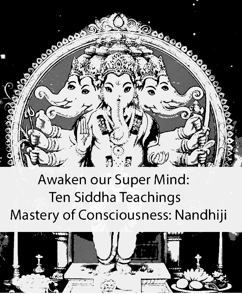 Shop Primary Image Shop Primary Image