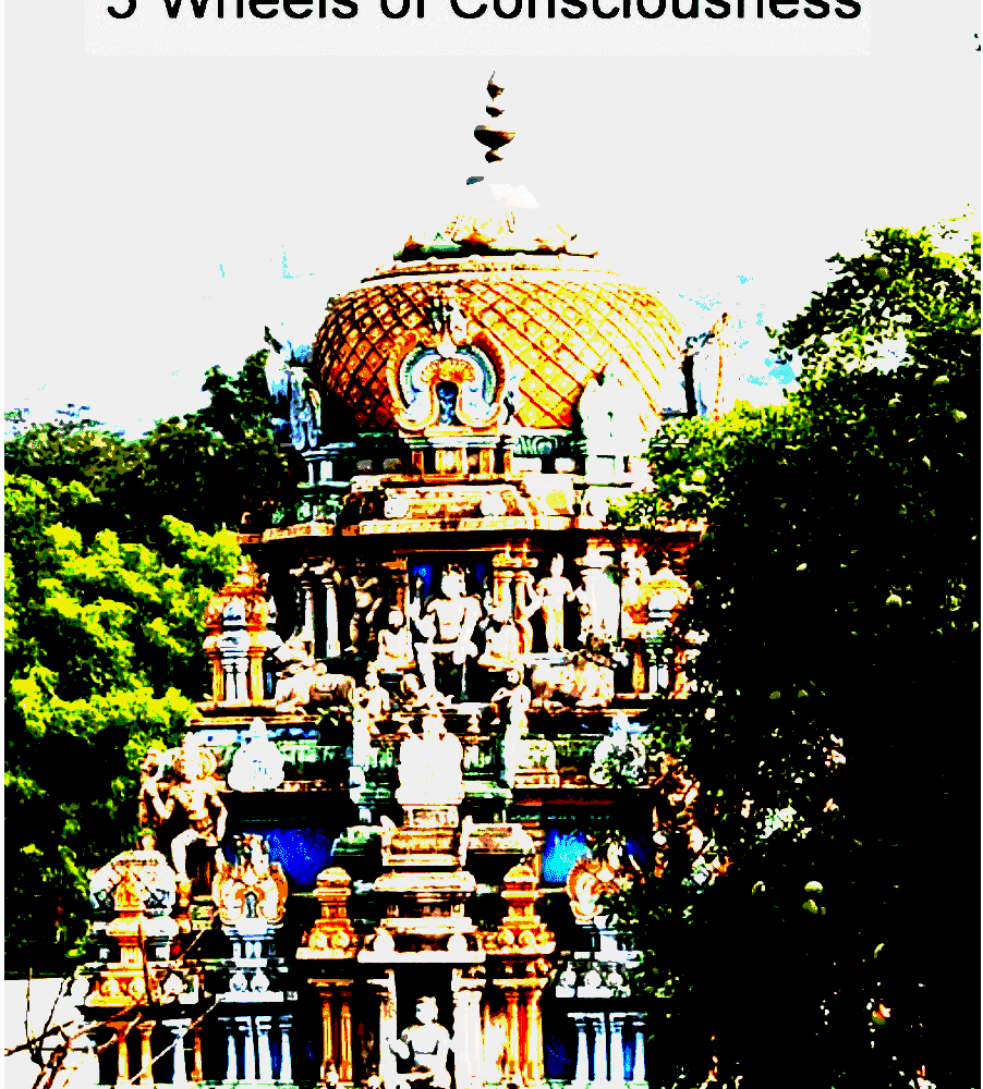 Shop Primary Image Shop Primary Image